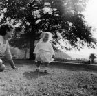 Toddler Cwmcarn 1960s