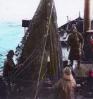 Trawler men landing catch