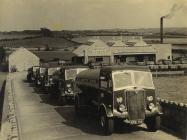 Milk Marketing Board Lorries, Llangefni