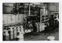 Unloading milk churns at Felinfach Creamery,...