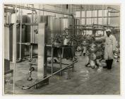 Milk Seperators at Felin Fach Creamery