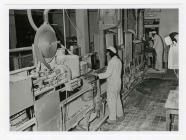 Workers at skimmed milk machine, Felin Fach...