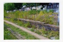 Overgrown railway platform [Pont Llanio?]