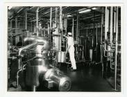 Worker operating machinery in 
Felin Fach Creamery