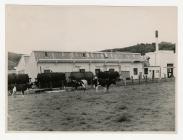 Railway sidings creamery, Felin Fach creamery