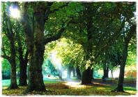 Sunbeams Thomastown Park