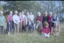 MFS at Gaerfawr Woods