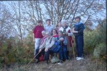 MFS at Gaerfawr Woods