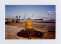 Mooring Bollard and Rope, Barry Docks