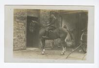 Postcard image of Pembroke Yeomanry, Llandilo /...