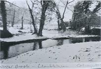 Piccadilly stream Llanblethian 1999