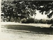 Twt Park c1961