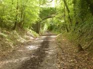 Cowbridge to Aberthaw former railway line 2018