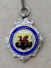 Glamorgan County Council school attendance medal