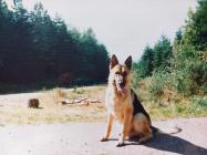 Air Dog Duke (Retired) 1991