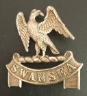 SWANSEA BOROUGH POLICE INSIGNIA