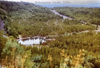 Trimsaran Woods and Pond 1982